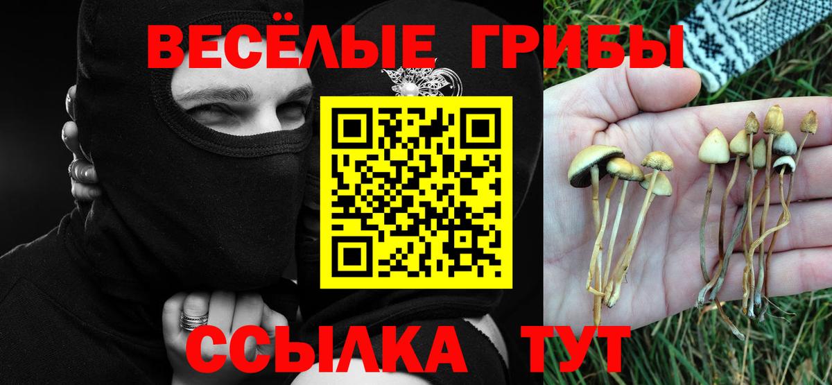 Галлюциногенные грибы Psilocybine cubensis  Галлюциногенные грибы Magic Shrooms  Вход с VPN  Щёлково 